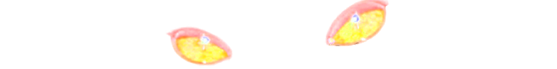 Baner