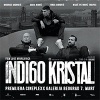 SVEČANA PREMIJERA FILMA ,,INDIGO KRISTAL“ U CINEPLEXX GALERIJA