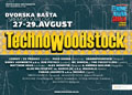 techno-woodstock-plakat