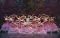 Moscow_City_Ballet_Sample1