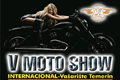 moto_show_temerin